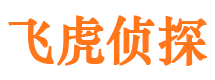 聂拉木市私家侦探